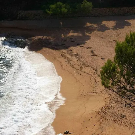 아파트 Cala Salionc 12 - 1ª Linea De Mar Con A/a 또사데마르