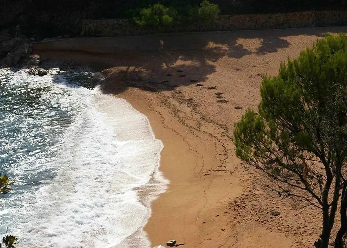 Cala Salionc 12 - 1ª Linea De Mar Con A/a Lejlighed *